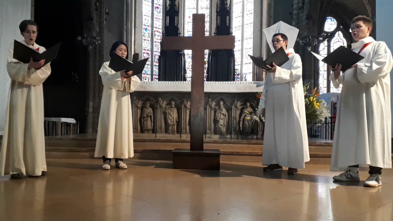 O Crux ave - Rihards DUBRA - Ensemble de Solistes de la Basilique (LIVE)