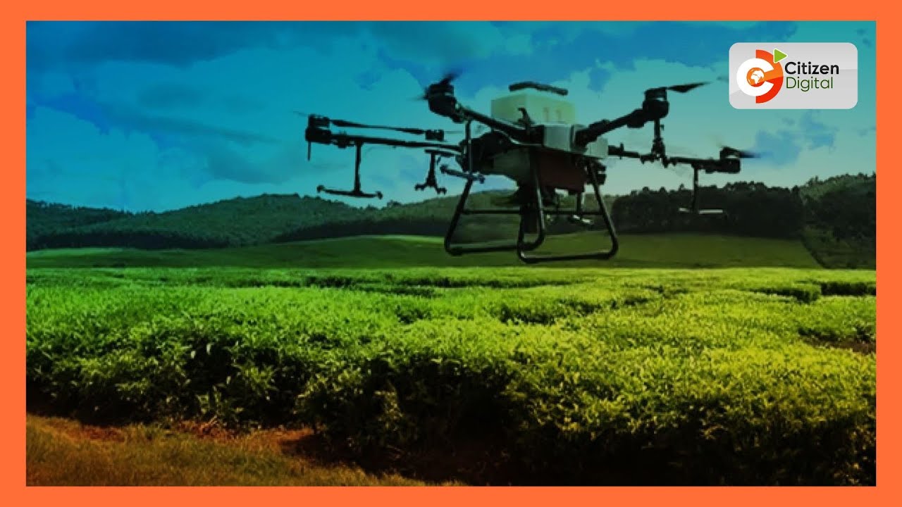 Farmers in Nyamira practicing precision agriculture