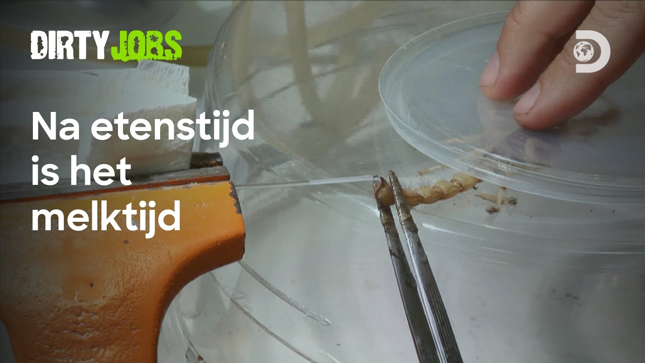 1 druppel is super gevaarlijk voor mensen.