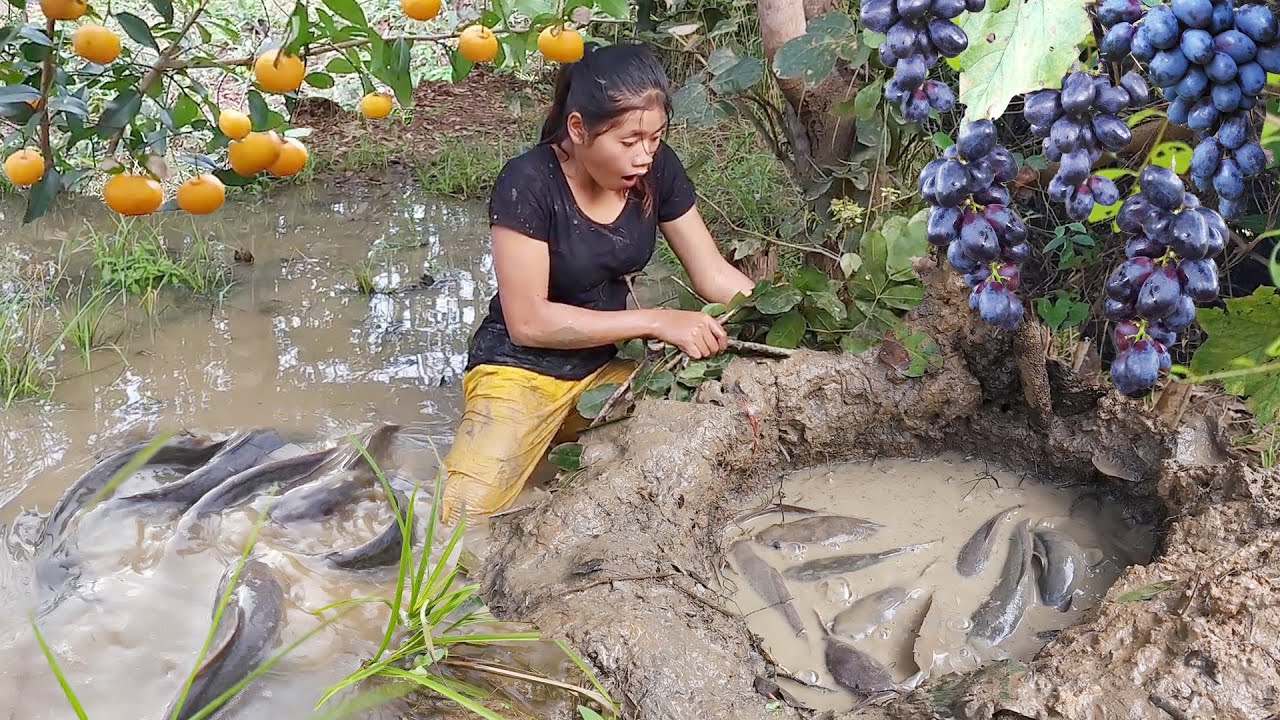 Pit fishing technical and Survival in forest, Big chicken curry spicy with egg, +4 Survival videos