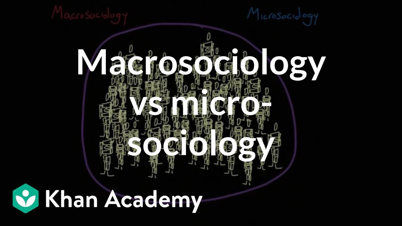 Макросоциология против микросоциологии | Общество и культура | MCAT | Академия Хана