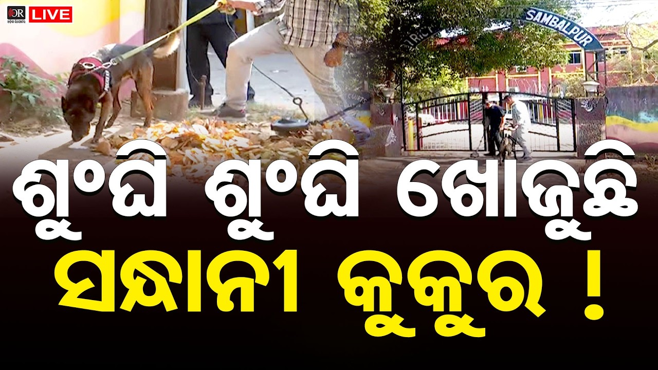 🔴LIVE | ବୁଲି ବୁଲି ବୋମା ଖୋଜୁଛି ସନ୍ଧାନୀ କୁକୁର | Bomb Threat | Sambalpur | 02.03.26 | Odisha Reporter