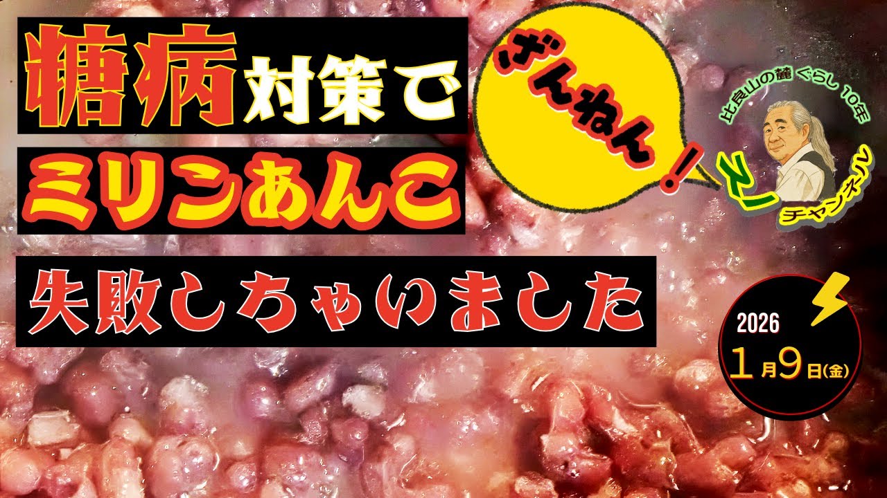 大失敗 低GIミリンあんこ作ってみた 糖尿病対策　老人生活