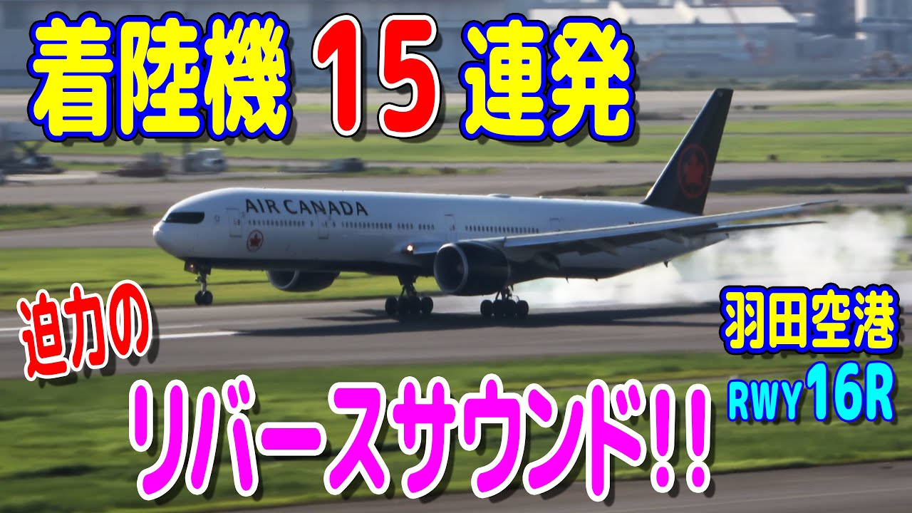 着陸機15連発!! 迫力のリバースサウンド!! 羽田空港RWY16R