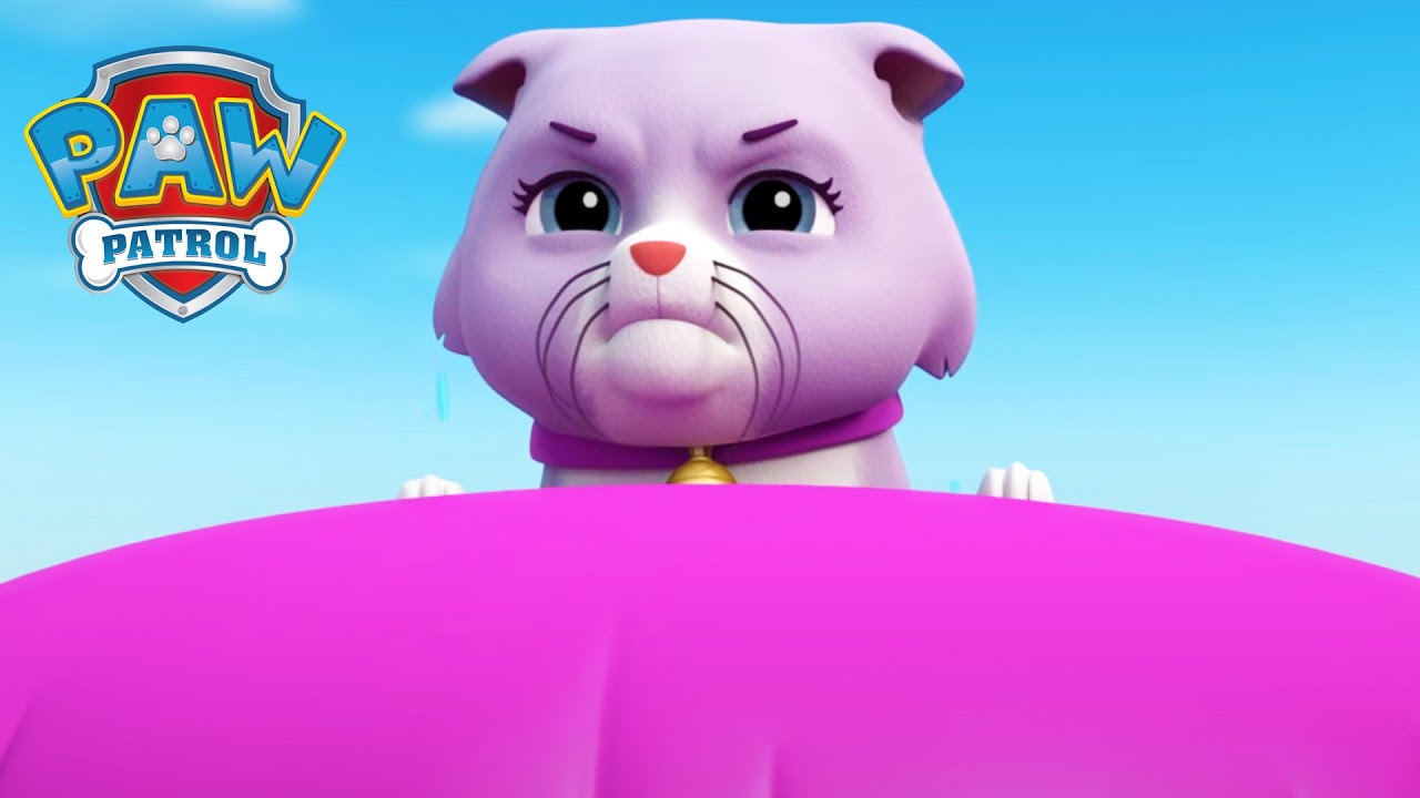 Kočky vs. psi! - Tlapková patrola PAW Patrol - pohádky pro děti