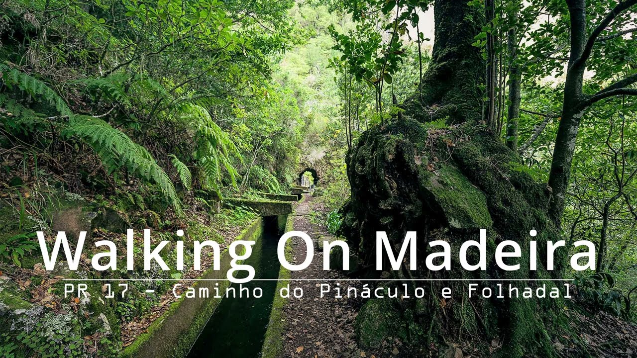 Experience the Thrill of Walking on Madeira's PR17 Trail (Longer)