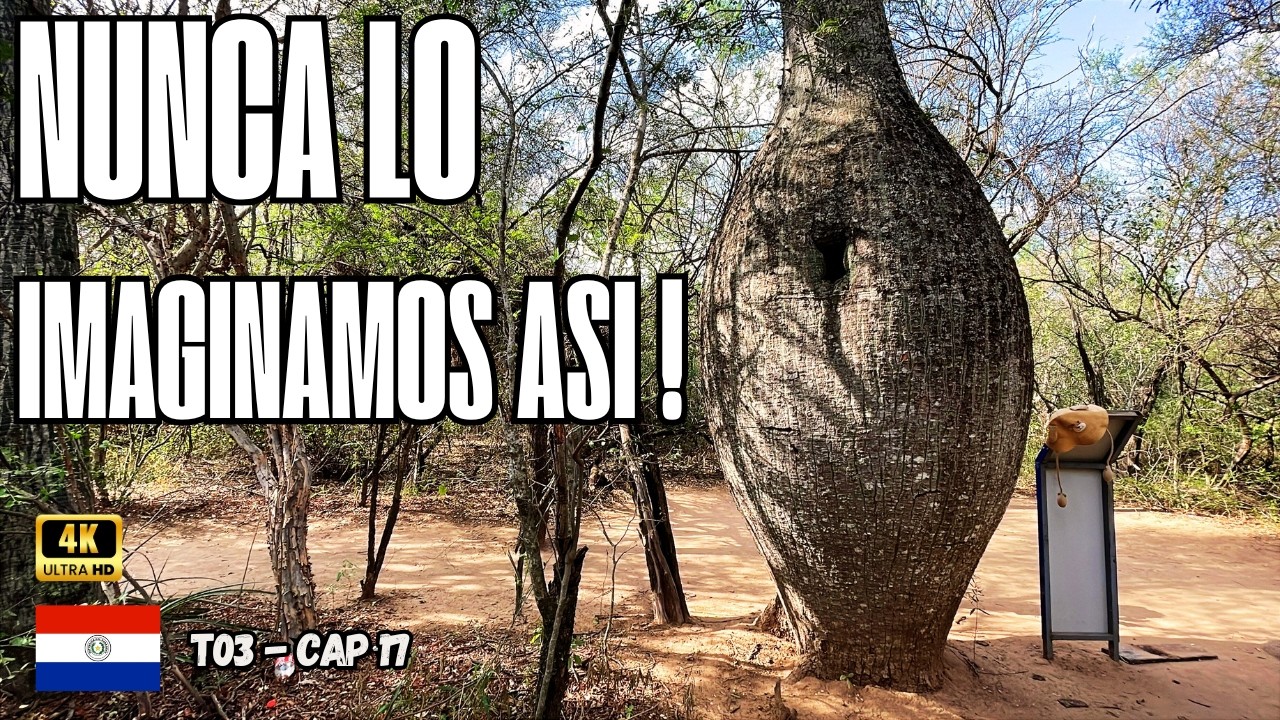 T3-C17 ❌VIVIMOS la GUERRA del CHACO (desde adentro) - BOQUERON  - Paraguay 2025 !!!