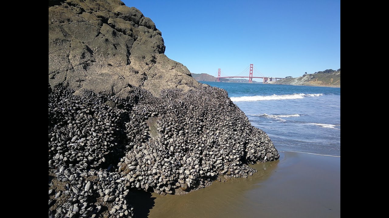 Baker beach, CA
