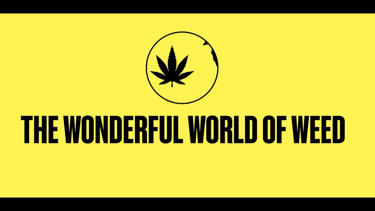 Wonderful World of Weed: Disparities in the Cannabis Industry | BET Index