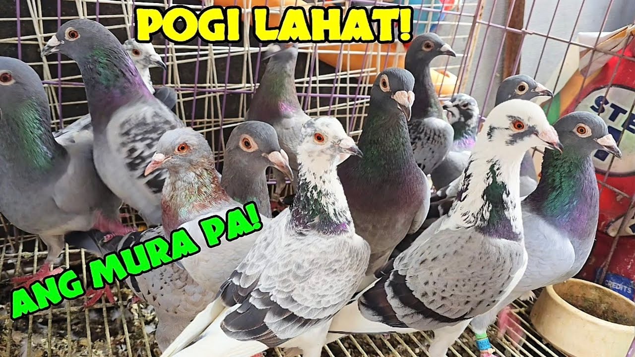 Budget meal 150 lang pala!