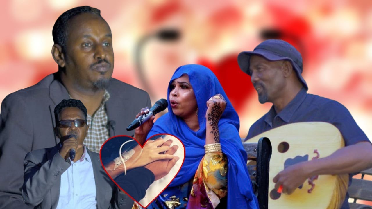 Kuwa Jaceylka Ujiifa Ayuu jiifka ka kiciyey Bar  ku Cusub Shaashada @maalchanneltv