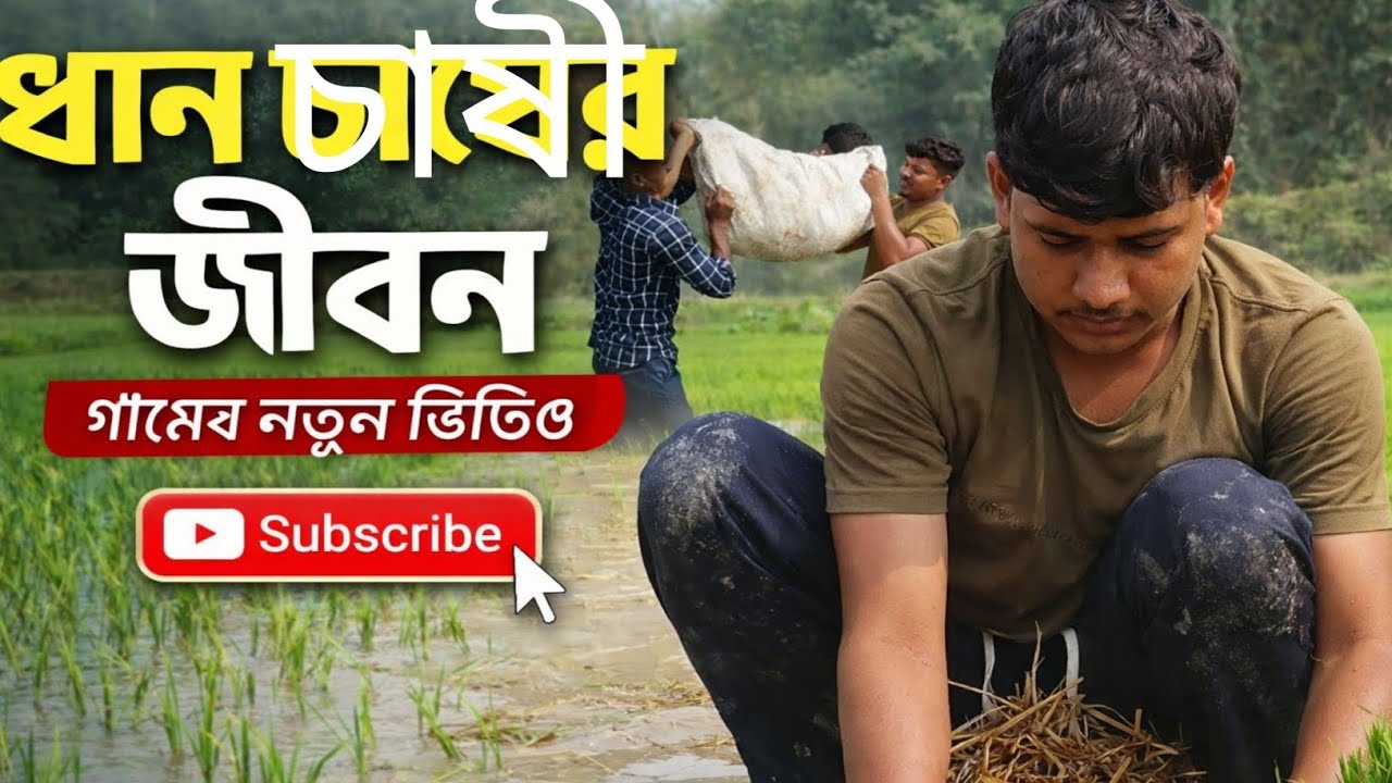 এটাই কৃষক পরিবারের ছেলের জীবন পড়াশোনার করার পাশাপাশি মাঠে বা জমিতে কাজ করতে হয়