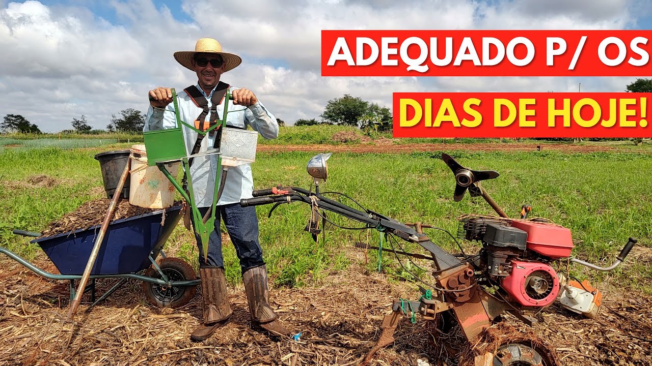 Plantio do Milho de Forma Diferente que Produz MAIS, Ganhou PRÊMIO de 1° Lugar no Sítio Lucrativo.