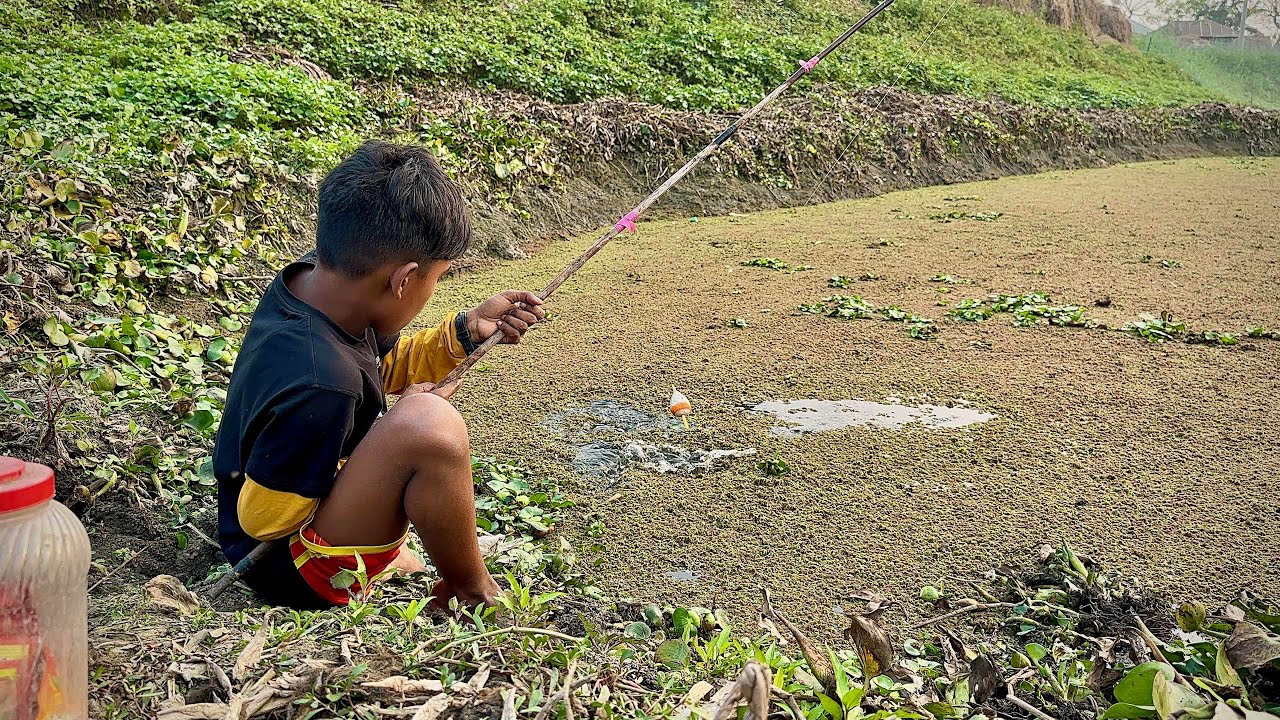 Amazing Hook Fishing✅| Videos of a cute village boy fishing in the canal