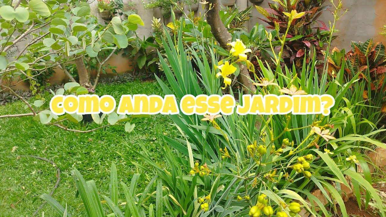 Nem Tudo Está Bonito 🌱 | Atualização do Jardim, Pragas e o Que Precisa Ser Feito
