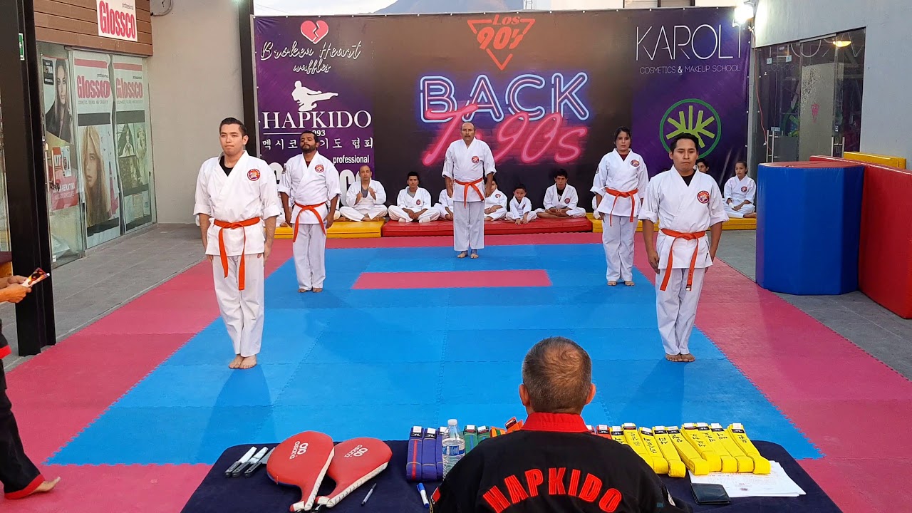 Examen cambio de cinta / Caídas y patadas cinta naranja / Hapkido Galias