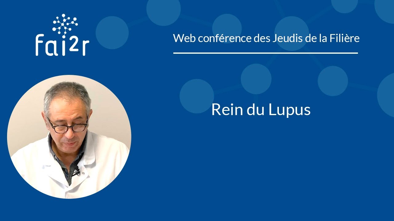 Rein du Lupus, corrélations anatomo-cliniques et stratégies