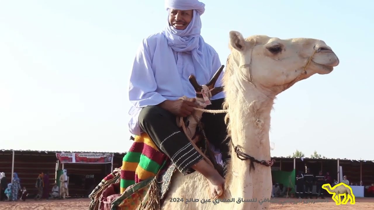 سباق المهاري عين صالح 2024 افتتاح التظاهرة تنظيم  النادي الرياضي الهاوي فارس الجنوب #الجمل_الذهبي🇩🇿🌴