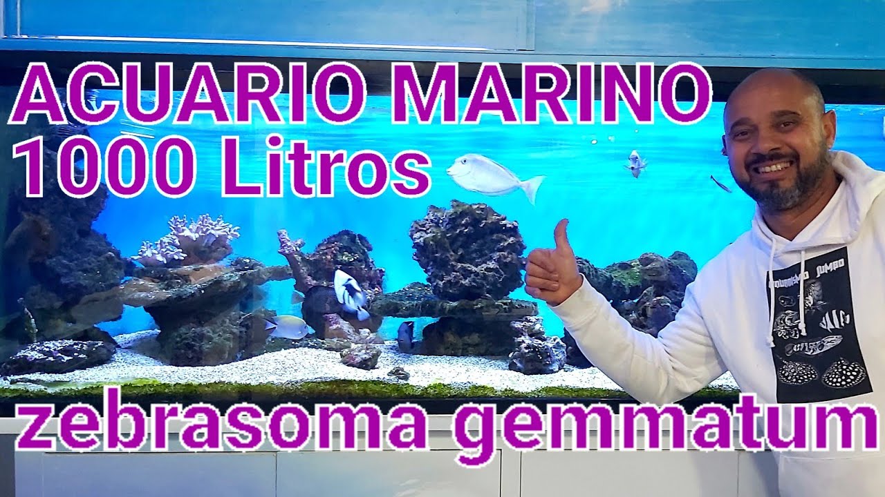 ACUARIO MARINO Solo Peces | 1000 Litros