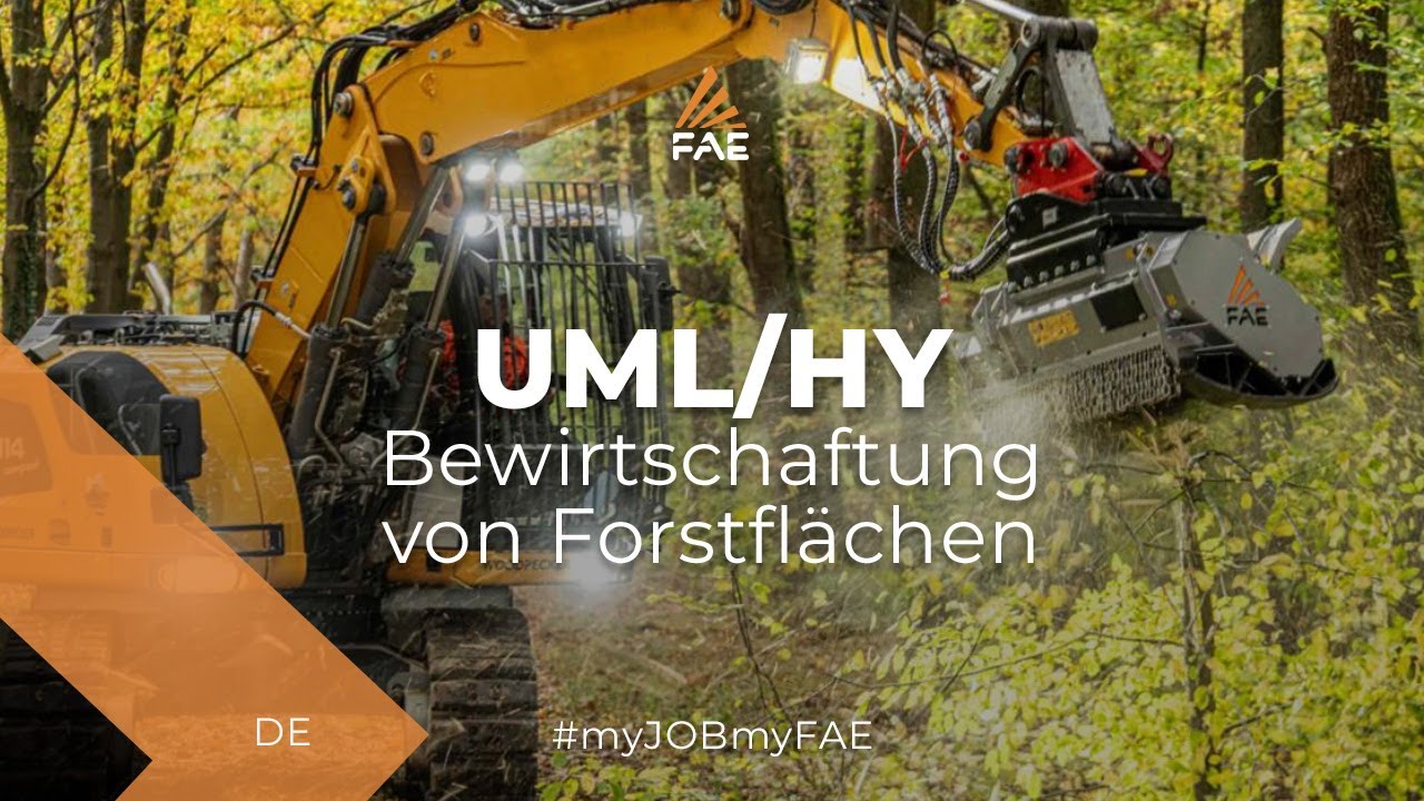Forstmulcher FAE mit Rotor mit feststehenden Werkzeugen für Bagger von 7 bis 15 t