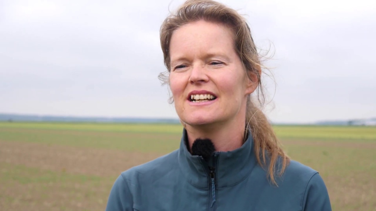Kringlooplandbouw: Hoe kunnen we de natuur benutten in onze landbouw? | WUR