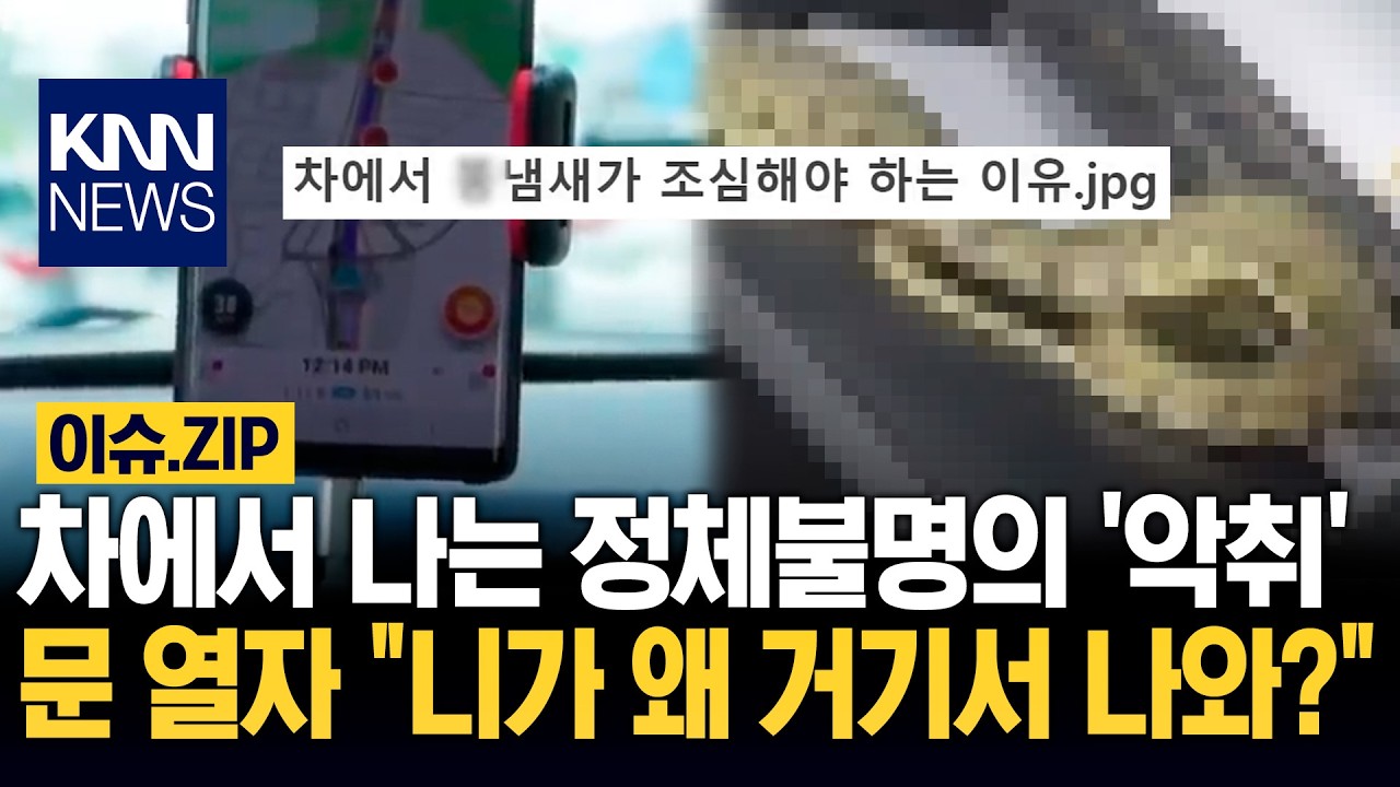 차에서 나는 정체불명의 '악취' 문 열자 