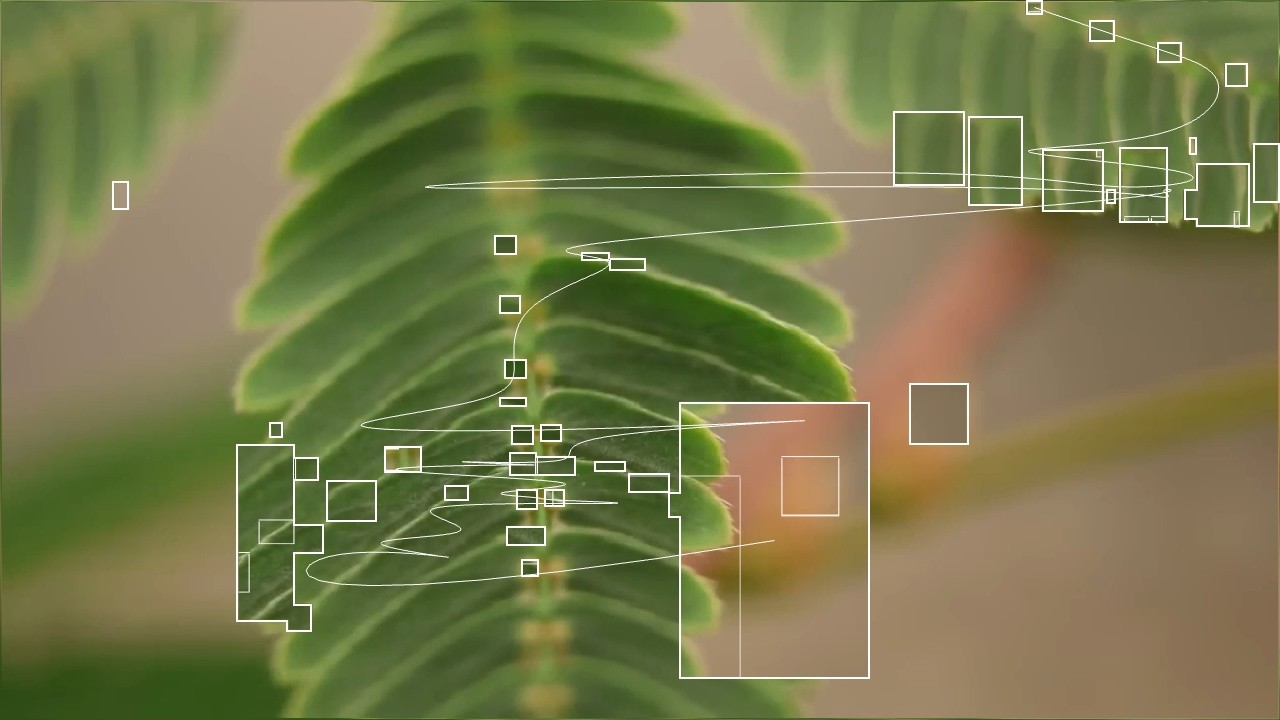 Учебное пособие по Touchdesigner по трассировке пятен и линий в стиле nouses kou
