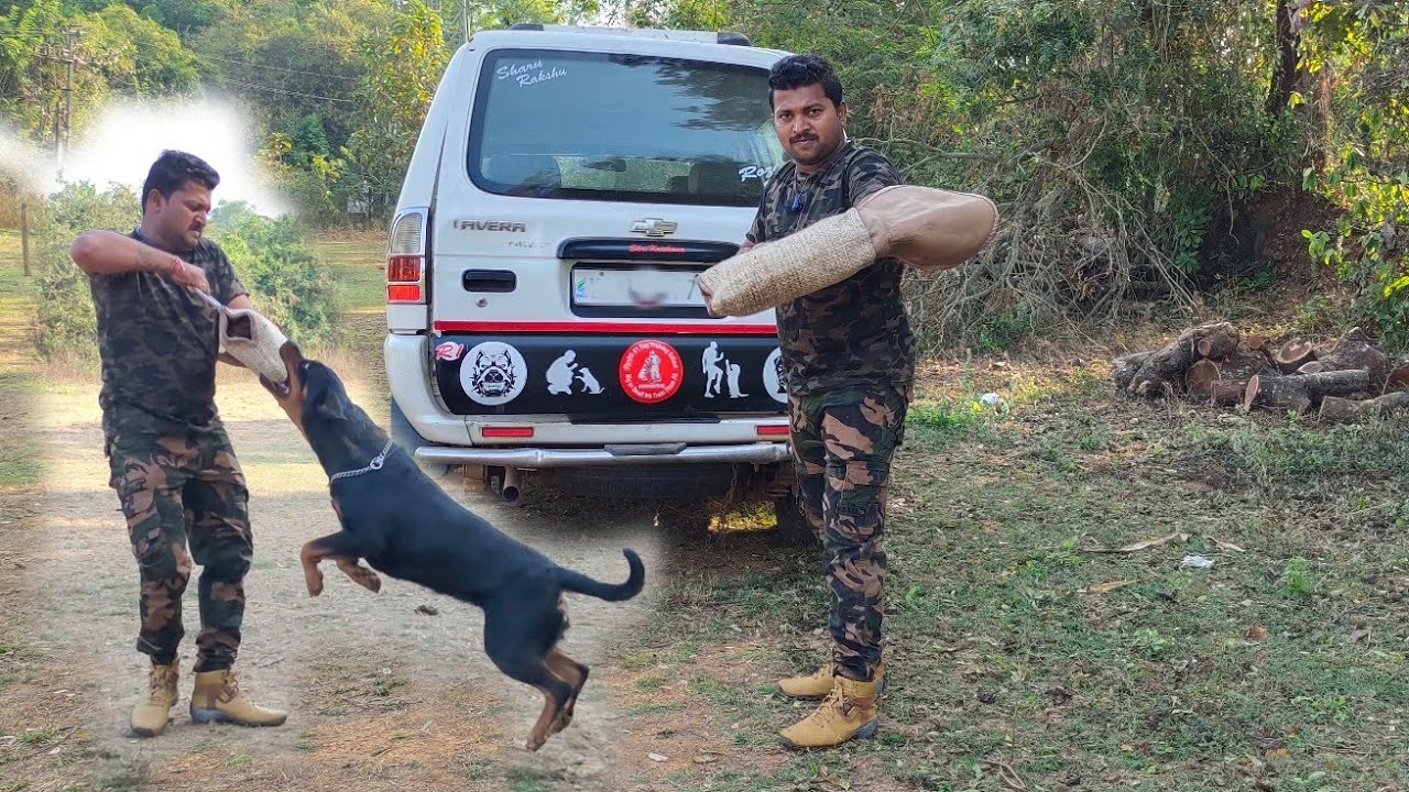 Rottweiler dog attack inside car #Karnataka