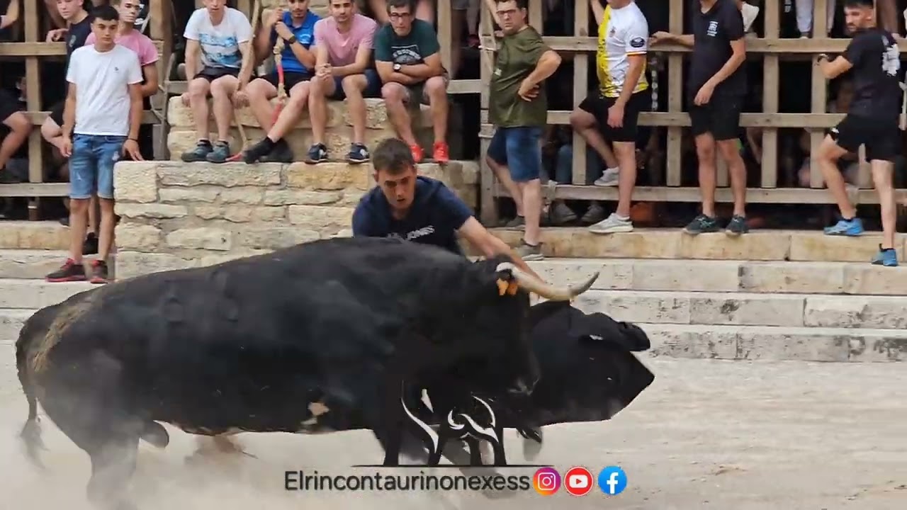 Salida y detalles al toro de la ganader&iacute;a Francisco Galache en Cantavieja 18 de julio de 2025 