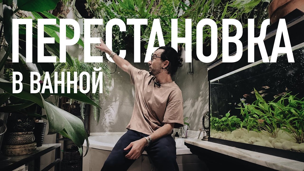 Перестановка в ванной. Обзор процесса