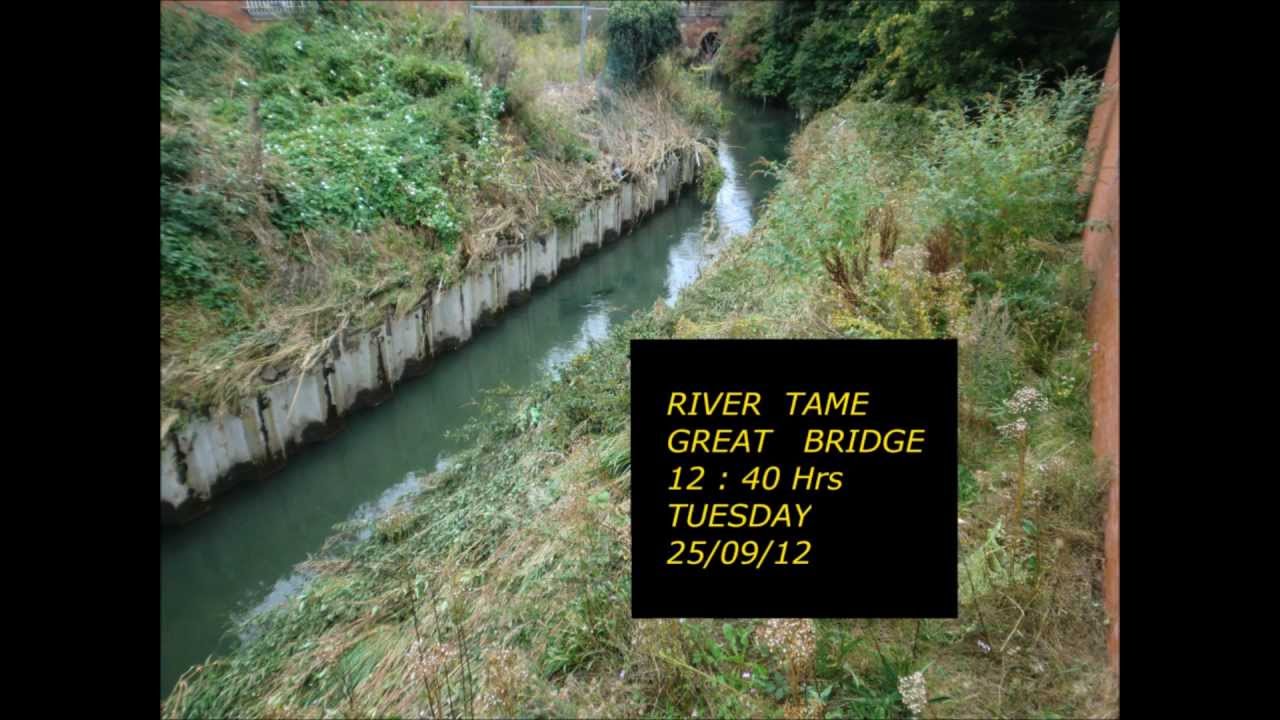 FLOODS FOLLOW UP  NO ACTION  RIVER TAME  THINGS TO COME . ..