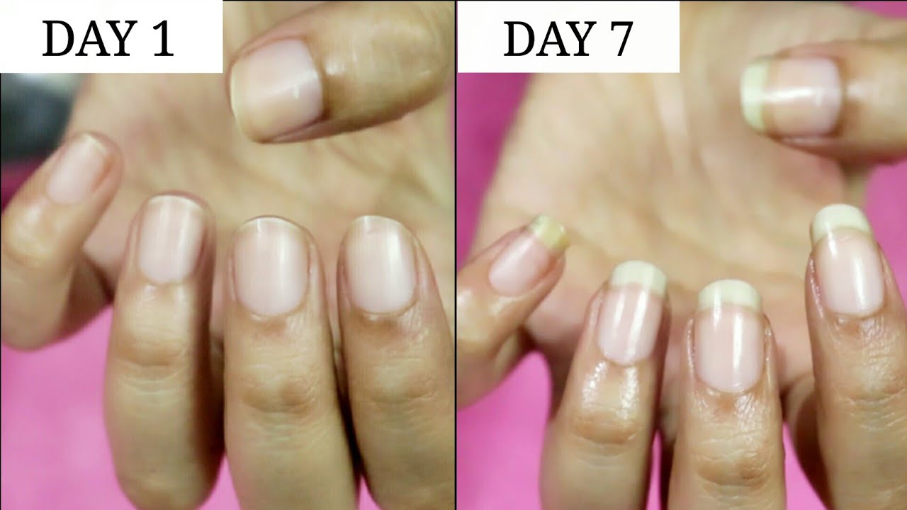 7 Days Nail Growth Challenge || Riya Beauty