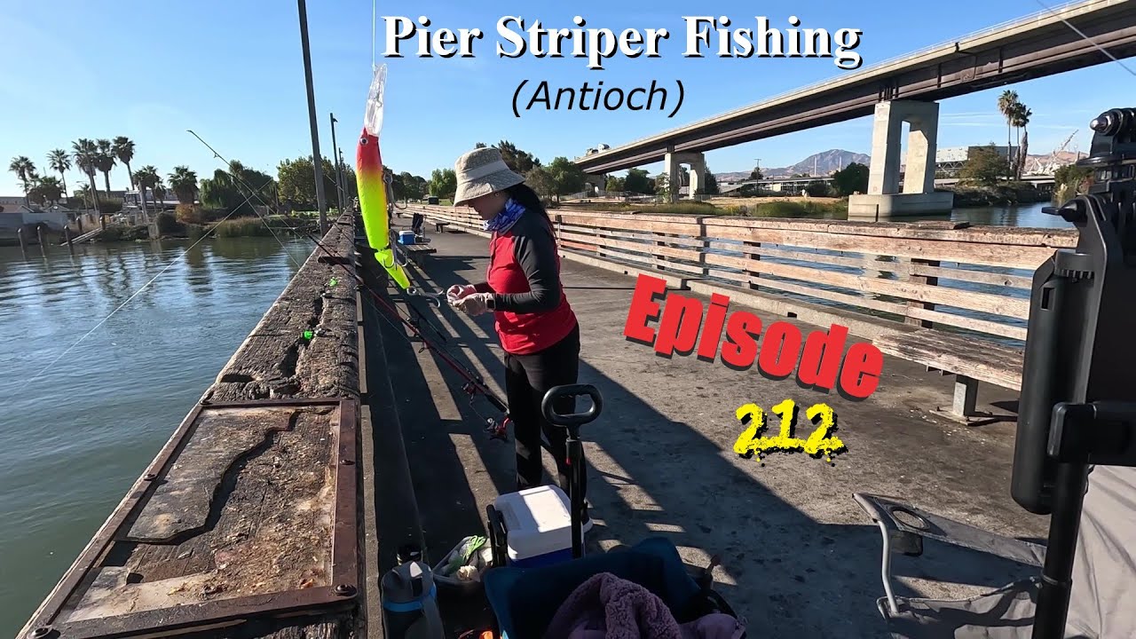 Active Striper Fishing Antioch Pier! Trying 3 Pier Spots!