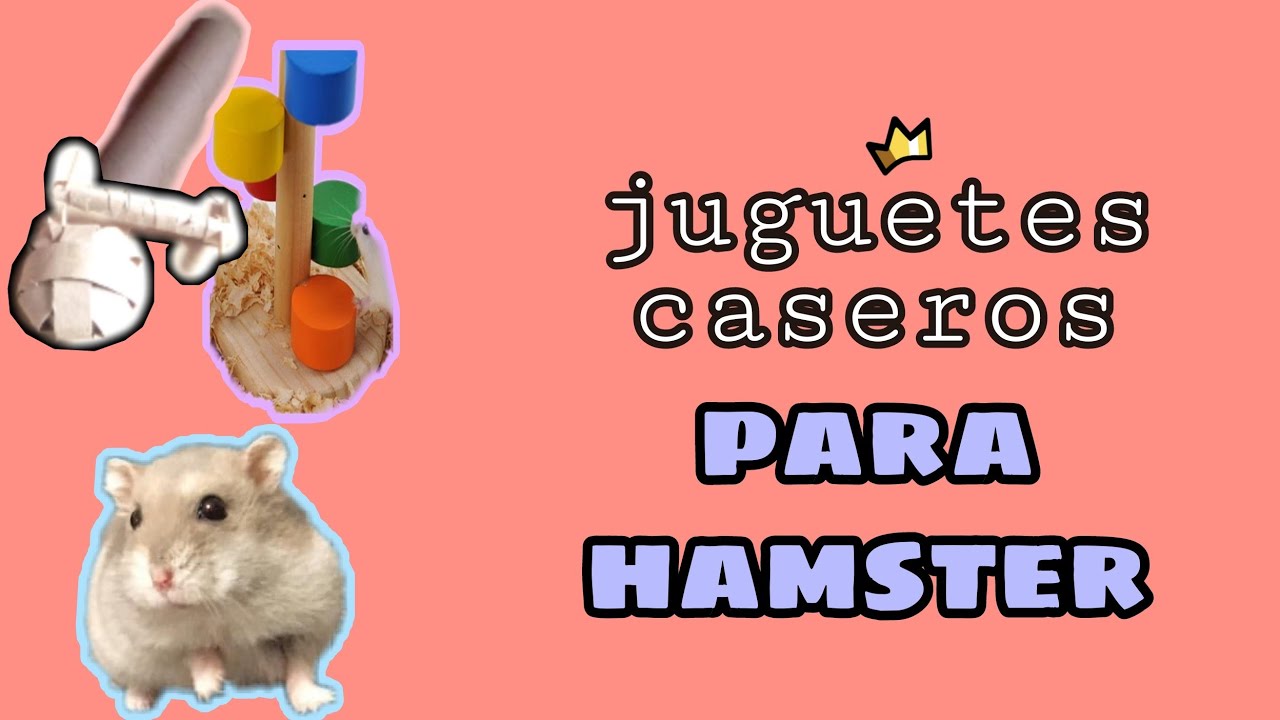 Juguetes caseros para desgastar uñas y dientes en hamsters