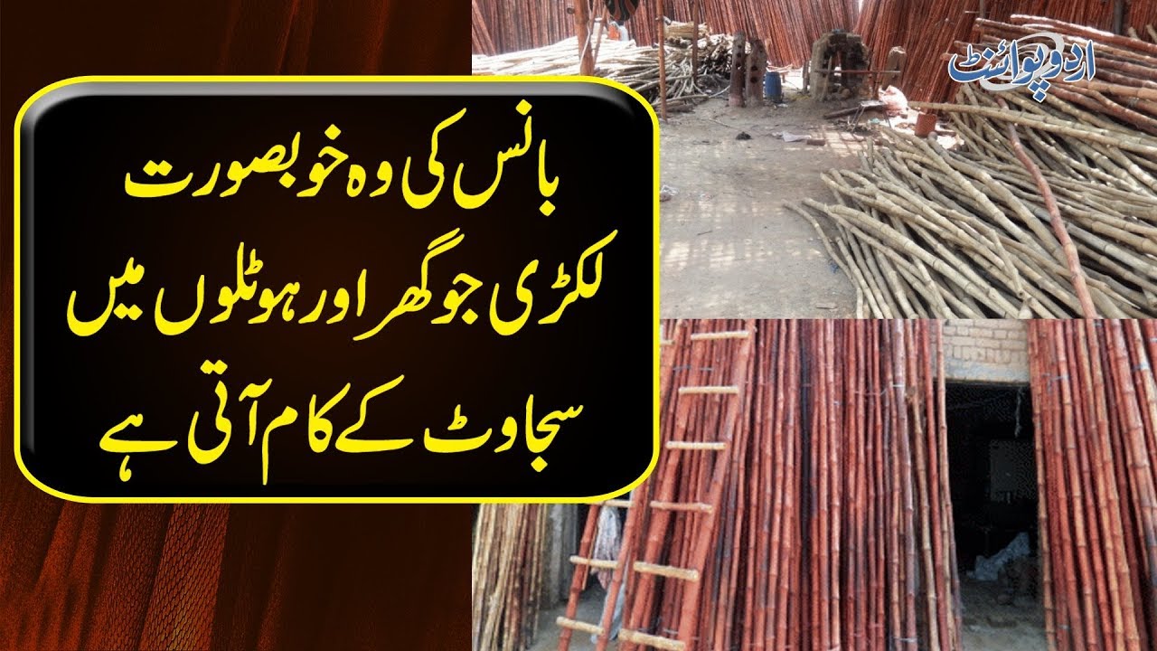 Usage Of Bamboos (Baans) In Pakistan