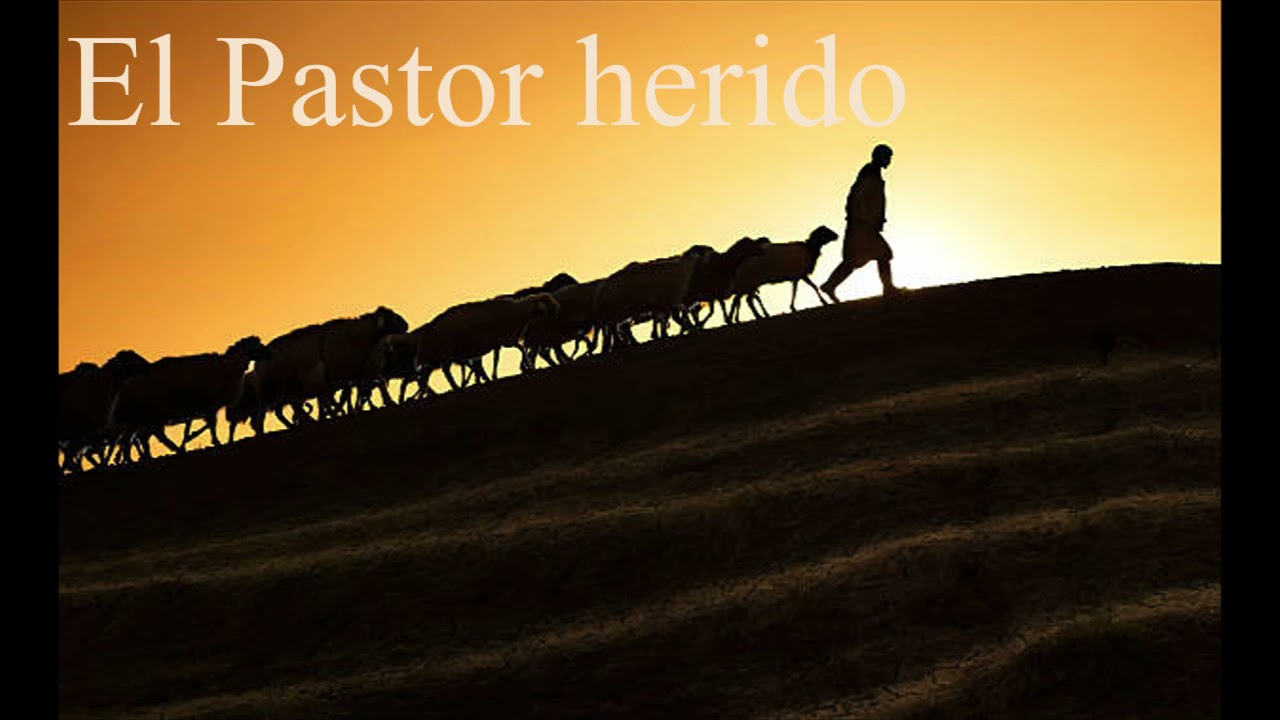 EL PASTOR HERIDO (Conjunto de Tucumán)