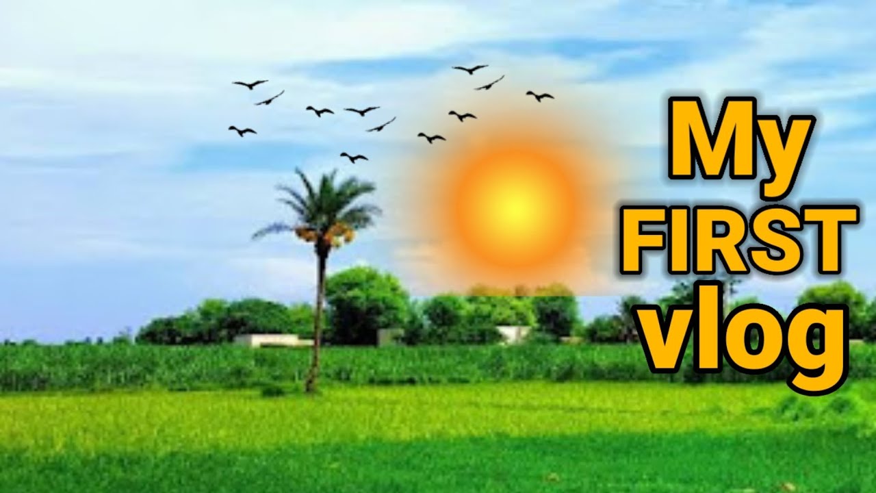 First Vlog ❤ | 1 Fab. 2026 | Just Check Out How Is This Video...💖 