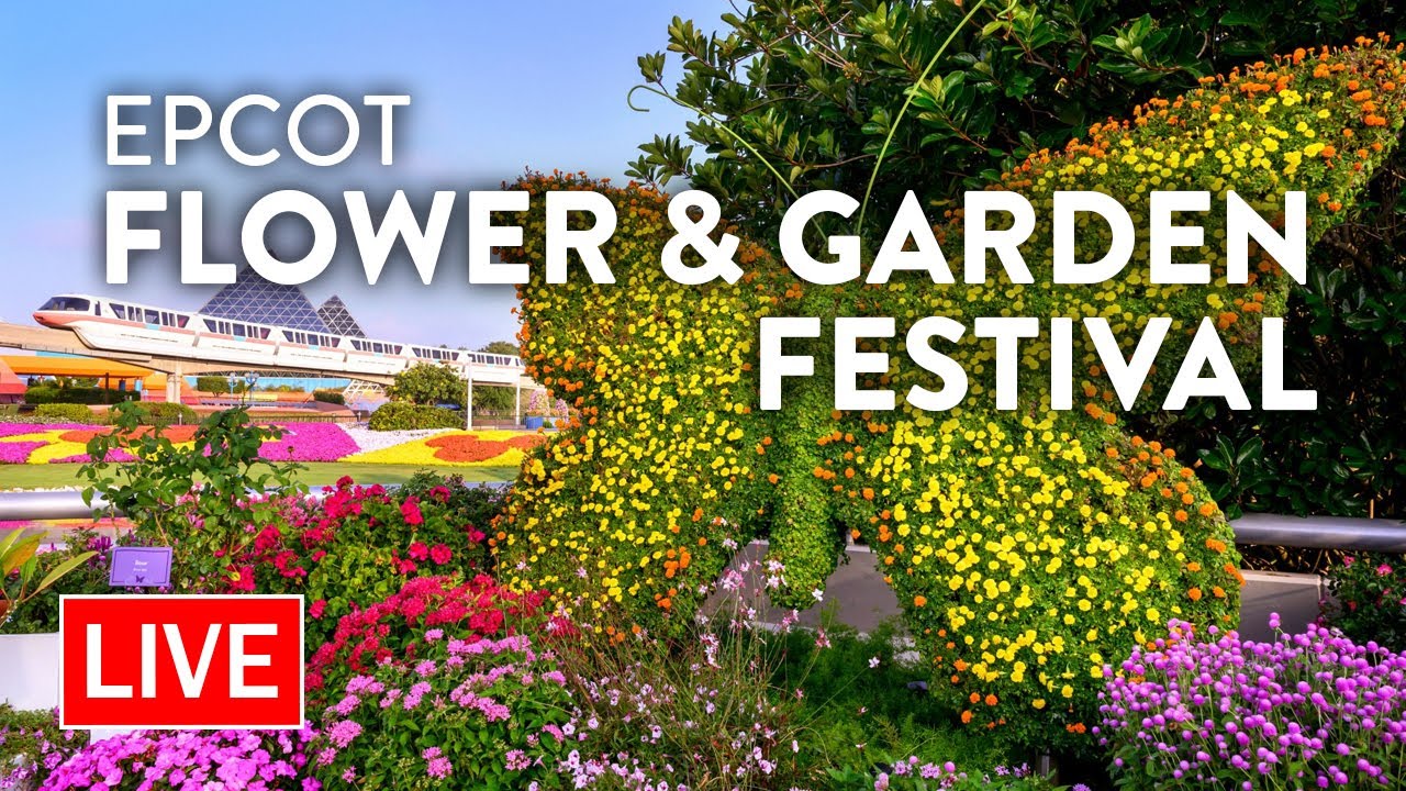 🔴LIVE: Epcot Flower & Garden Festival with Lucy | Walt Disney World Live Stream