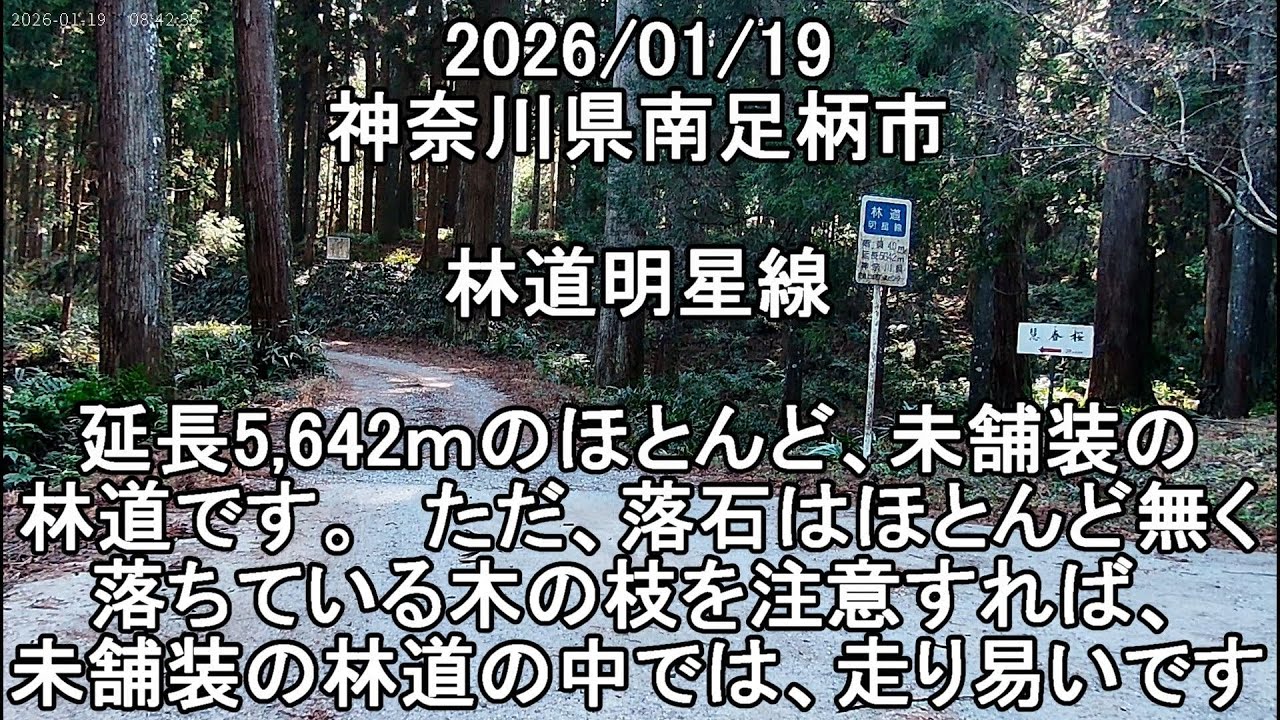 #神奈川県 #南足柄市 #林道明星線 #Forestroad　　　　　2026/01/19 #vstrom250sx #Vストローム250SX #林道 #バイク #林道明星線