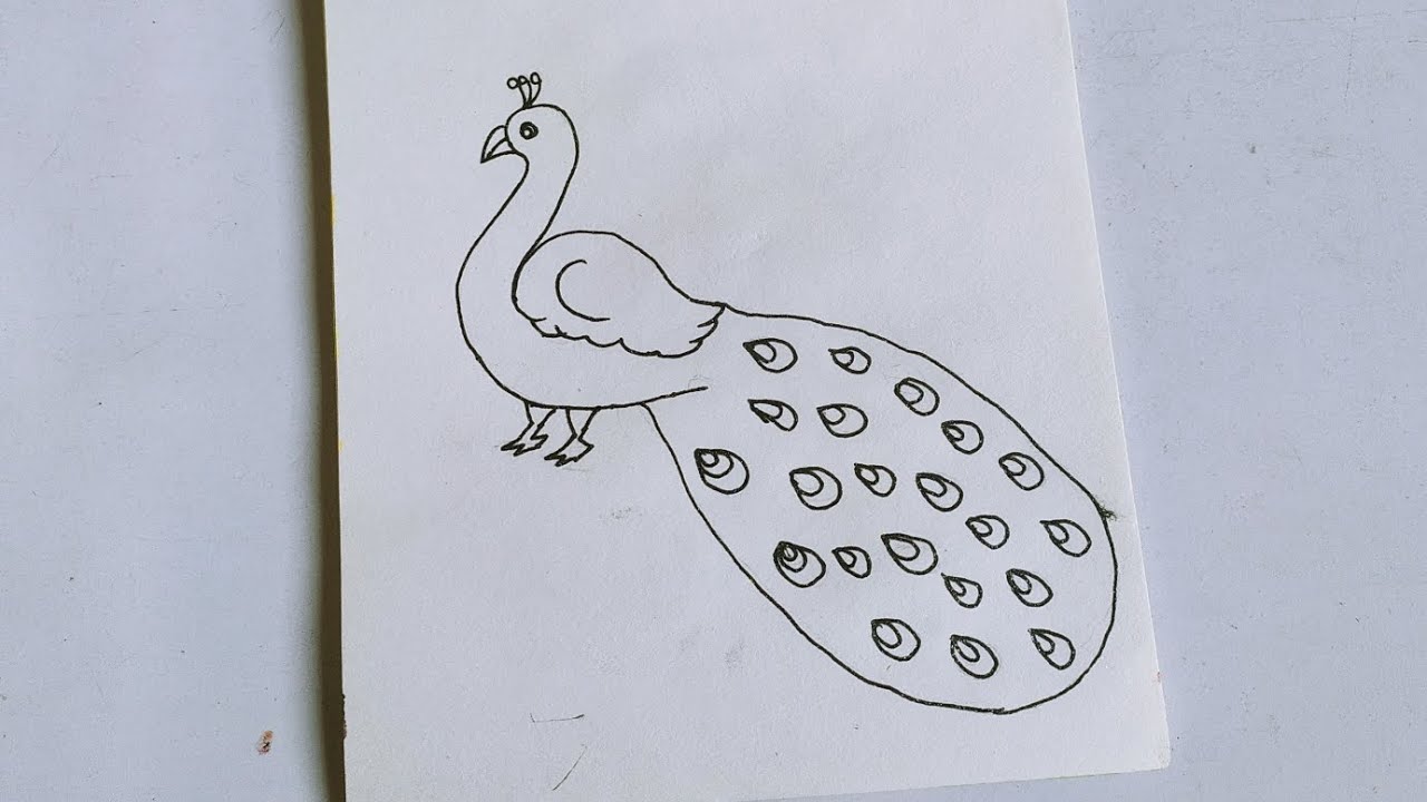 How to draw a peacock 🦚 easy drawing
