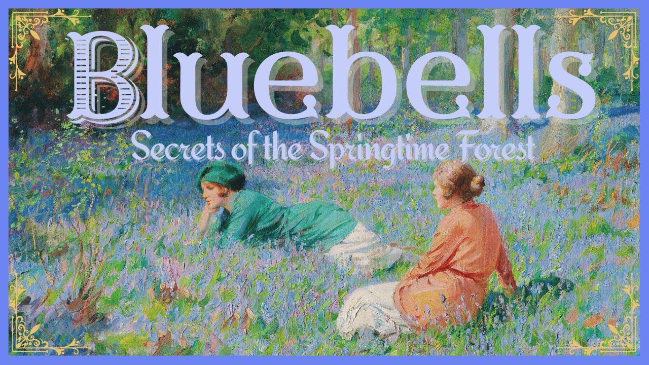 Bluebells: Secrets of the Springtime Forest