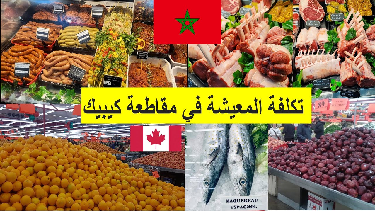 تكلفة المعيشة في #كيبيك# 🚨 #كيف# أسعار الخضر الفواكه اللحم و الٱسماك 🚨#الهجرة_هي_الحل#  #canada#