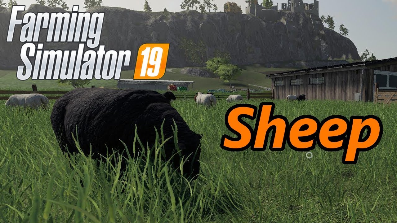 Farming Simulator 19 Tutorial | Sheep