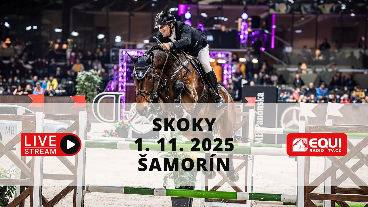 ŽIVĚ 🔴 | skoky CSI3*-W &Scaron;amor&iacute;n (Grand Prix) &ndash; 1. 11. 2025