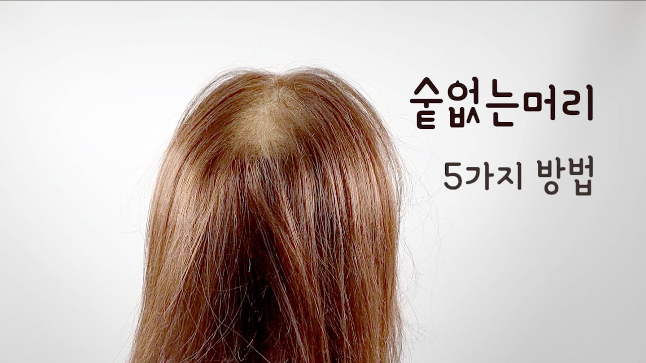 숱없는헤어  5가지방법으로 묶으면서 예뻐지세요