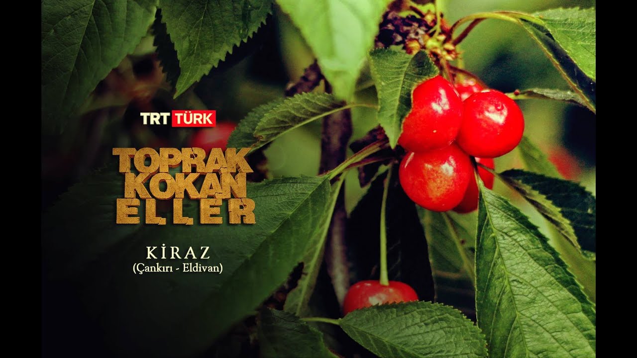 Toprak Kokan Eller 5.Bölüm Çankırı Eldivan 