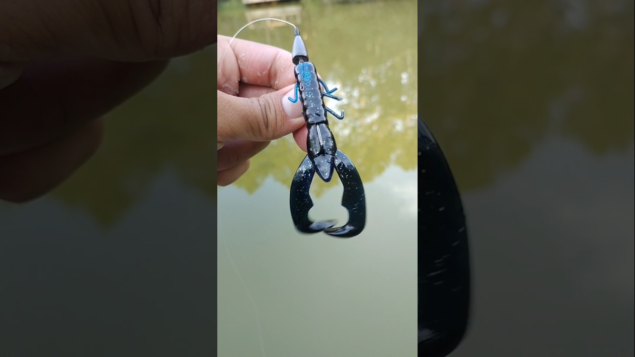 The WORST Soft Plastic Craw (I FISHED WITH IT)!!