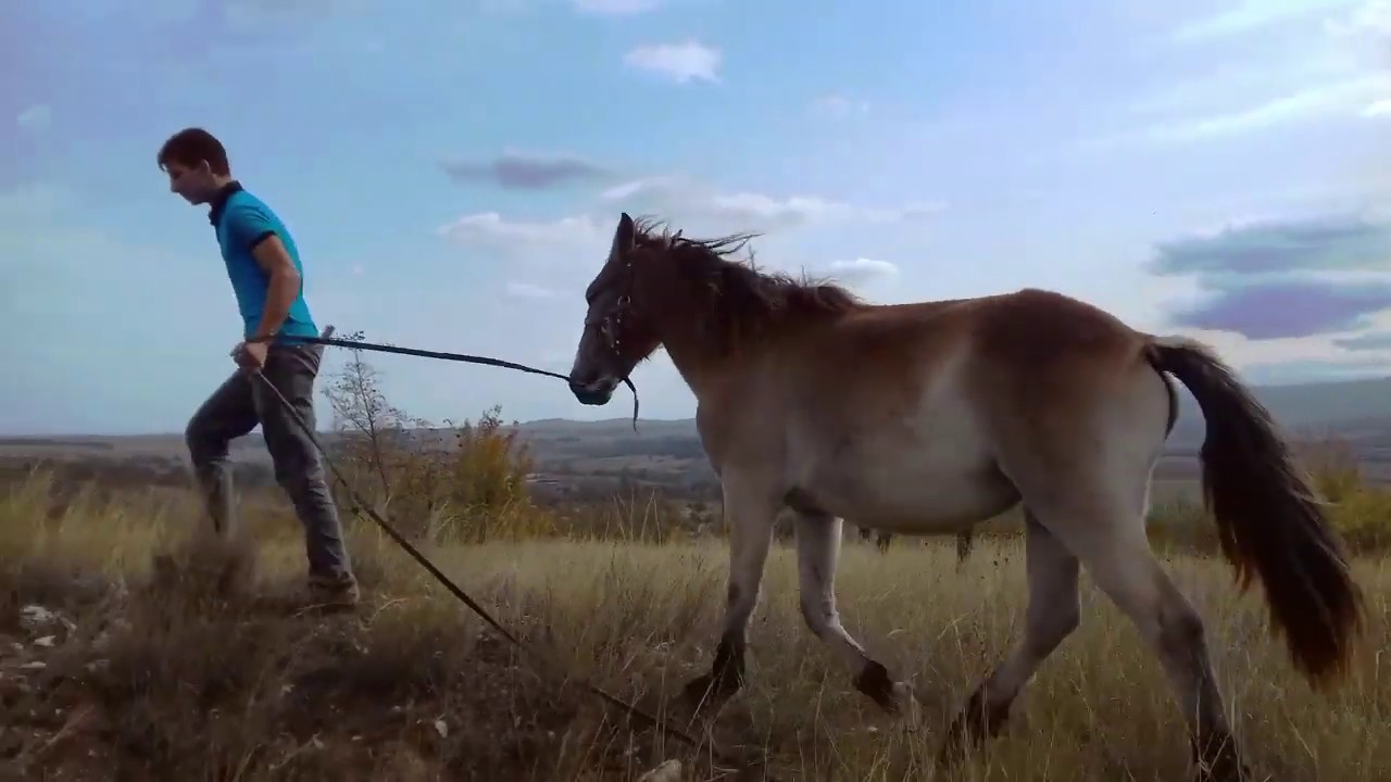 Srem's 'Other' Residents - Bulgaria