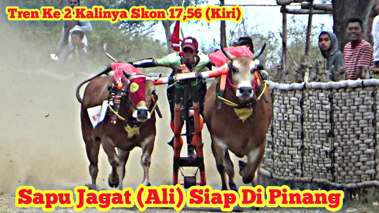 Tren Ke Dua Jet Matic Foundation (To Porron) dan Sapu Jagat (Ali) Di Lap. Priok Ketapang 2-09-2020.