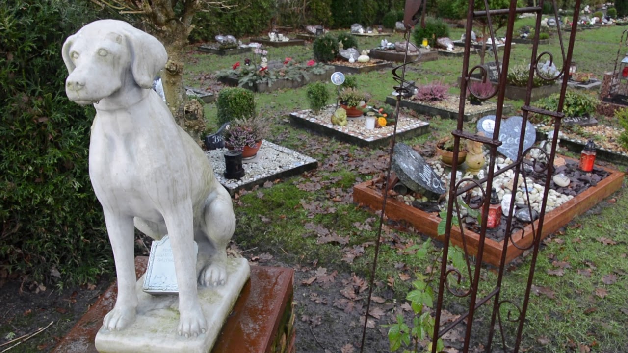 Der Tierfriedhof in Südbrookmerland